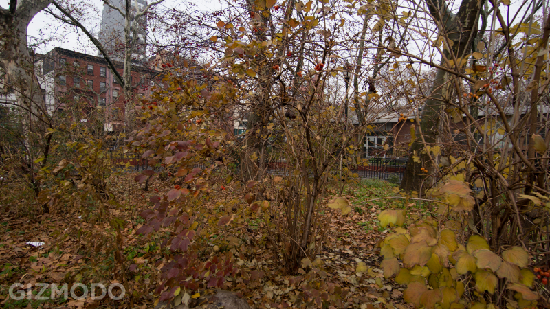 Illustration for article titled Sony NEX-6 Gallery: Sample Images
